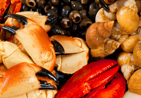 Seafood fir Potenze bei Männer ze erhéijen